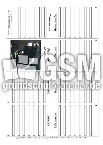 Faltbuch-Malaienbär.pdf